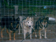 pict0018.jpg
